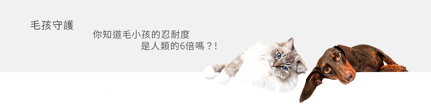 寵物症狀提示