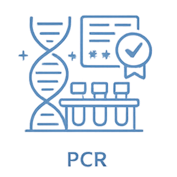 PCR 核酸比對