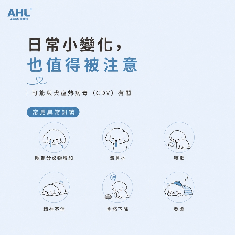 犬隻出現呼吸道症狀與眼鼻分泌物時可考慮進行 CDV 初步篩查