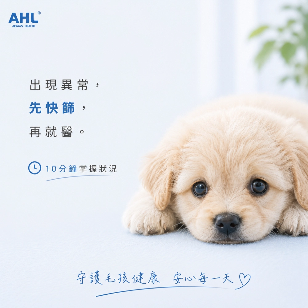 AHL 犬細小病毒 CPV 快篩使用提醒