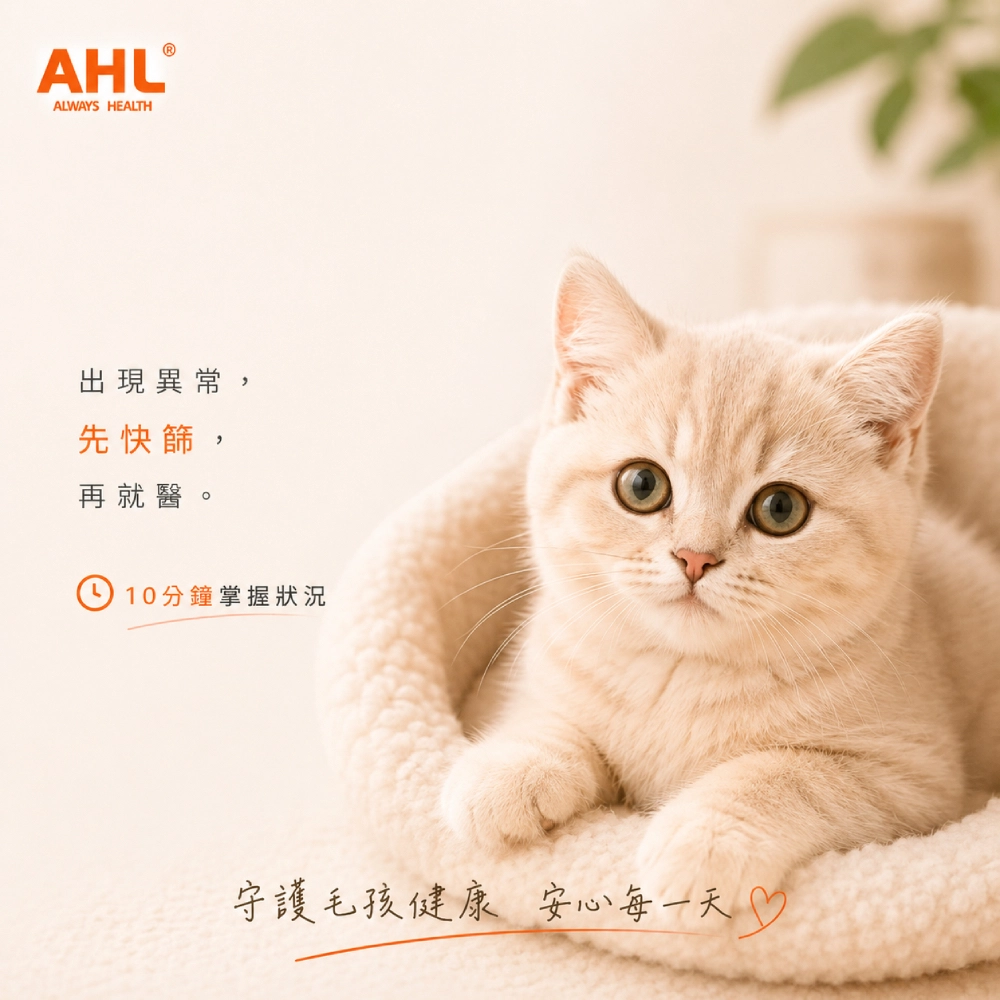 AHL 貓冠狀病毒 FCoV 與 FIP 風險說明