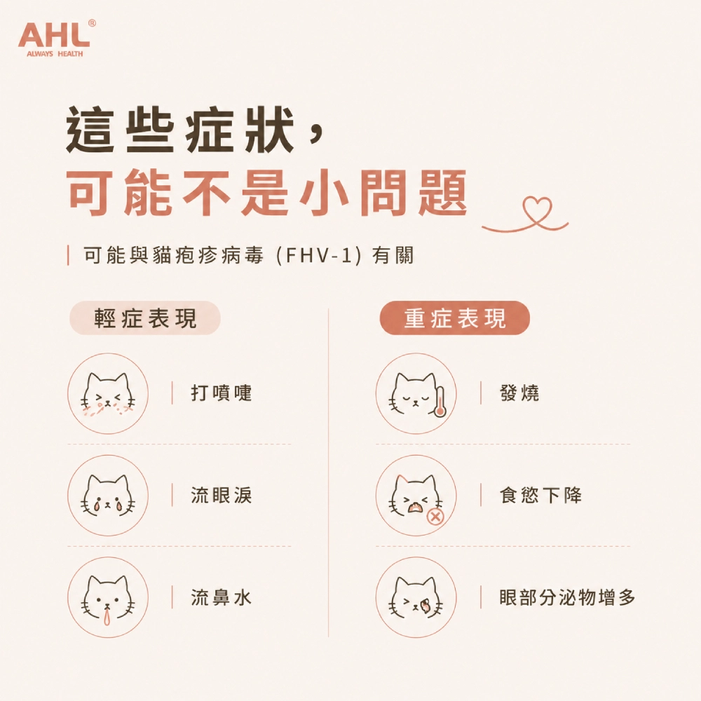 貓咪出現眼鼻分泌物與呼吸道症狀時可考慮進行 FHV-1 初步篩查