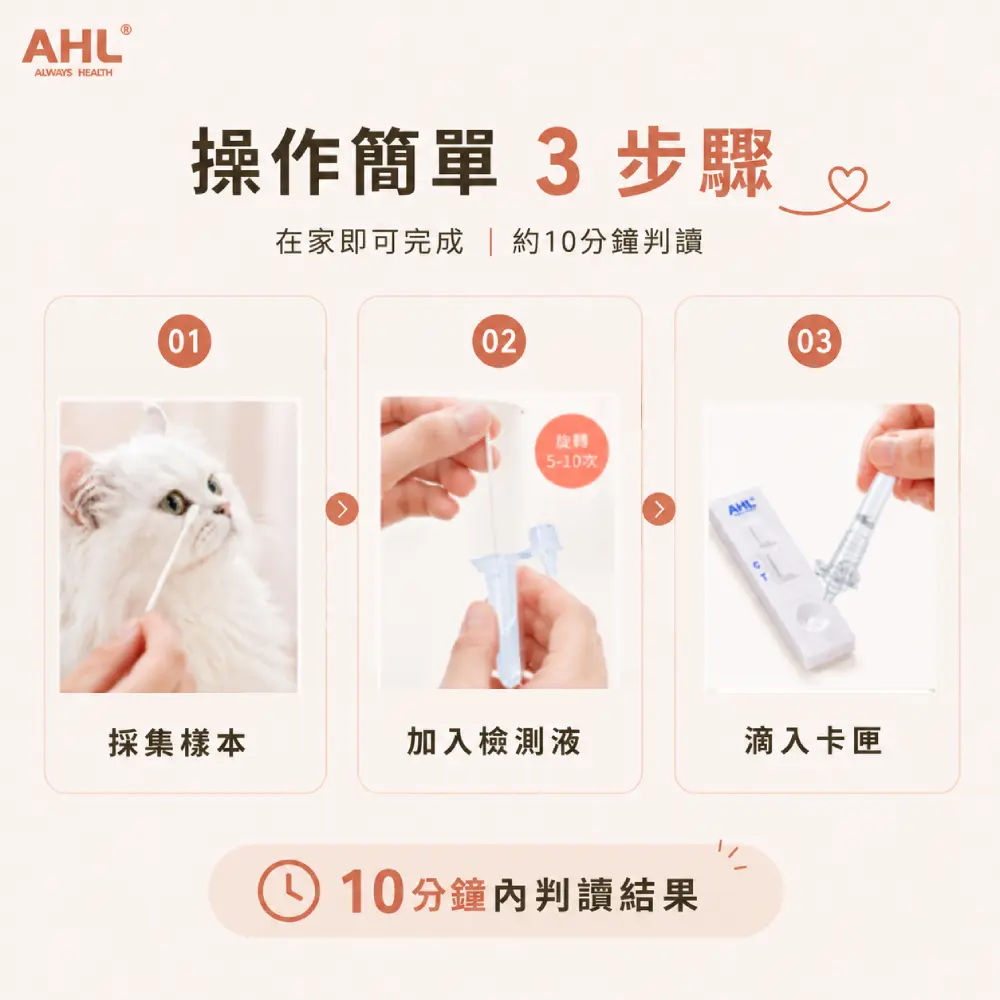 AHL 貓皰疹病毒 FHV-1 快篩操作方式說明