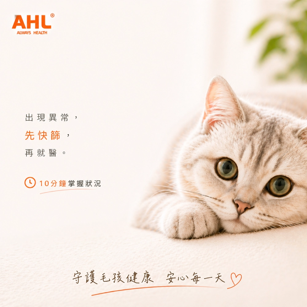AHL 貓皰疹病毒 FHV-1 快篩使用提醒