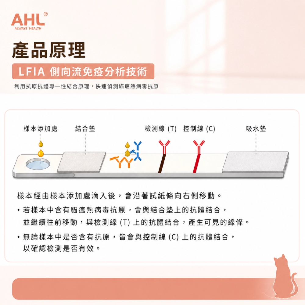 AHL 貓瘟病毒 FPV 快篩 LFIA 檢測原理