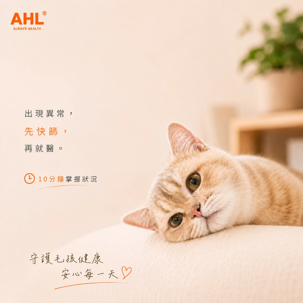 AHL 貓瘟病毒 FPV 快篩使用提醒